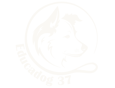 Educadog 37
